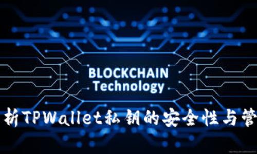 深度解析TPWallet私钥的安全性与管理技巧