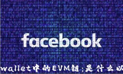 
深入了解tpwallet中的EVM链：是什么以及如何使用