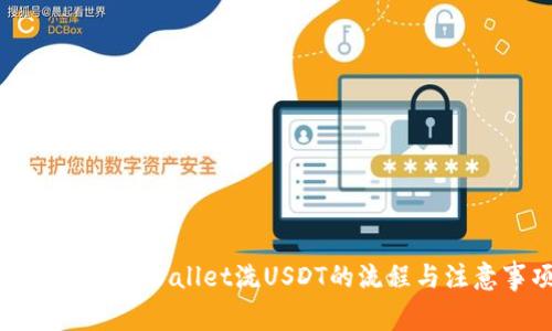 全面解析TPWallet洗USDT的流程与注意事项