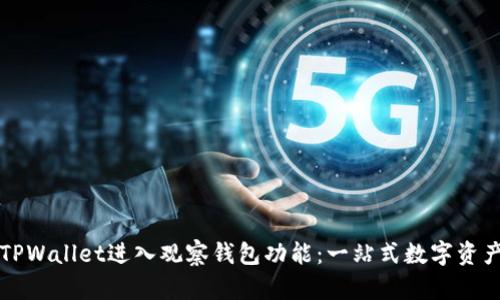 如何使用TPWallet进入观察钱包功能：一站式数字资产管理指南