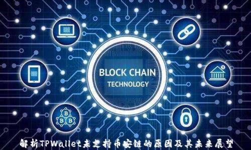 
解析TPWallet未支持币安链的原因及其未来展望