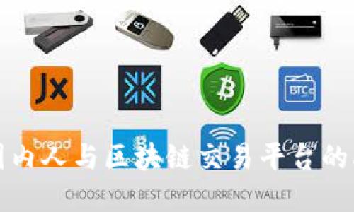 深入了解圈内人与区块链交易平台的融合与发展