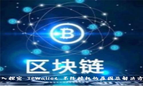 深入探究 TPWallet 不给授权的原因及解决方案