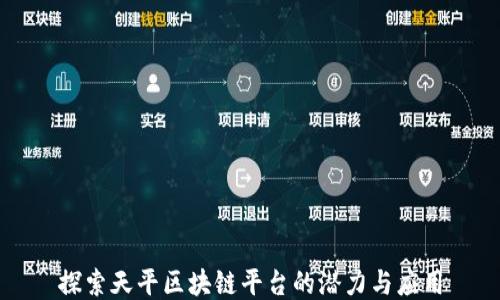 
探索天平区块链平台的潜力与应用